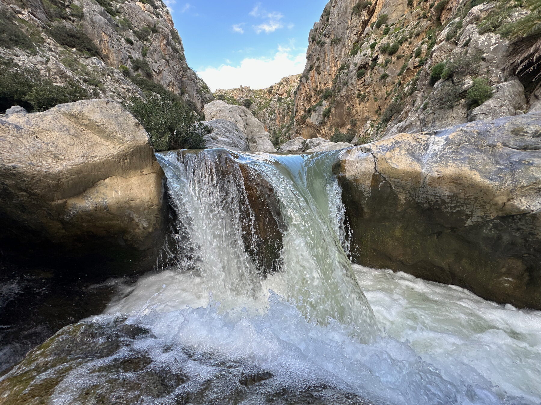 La vidéo L'Eau