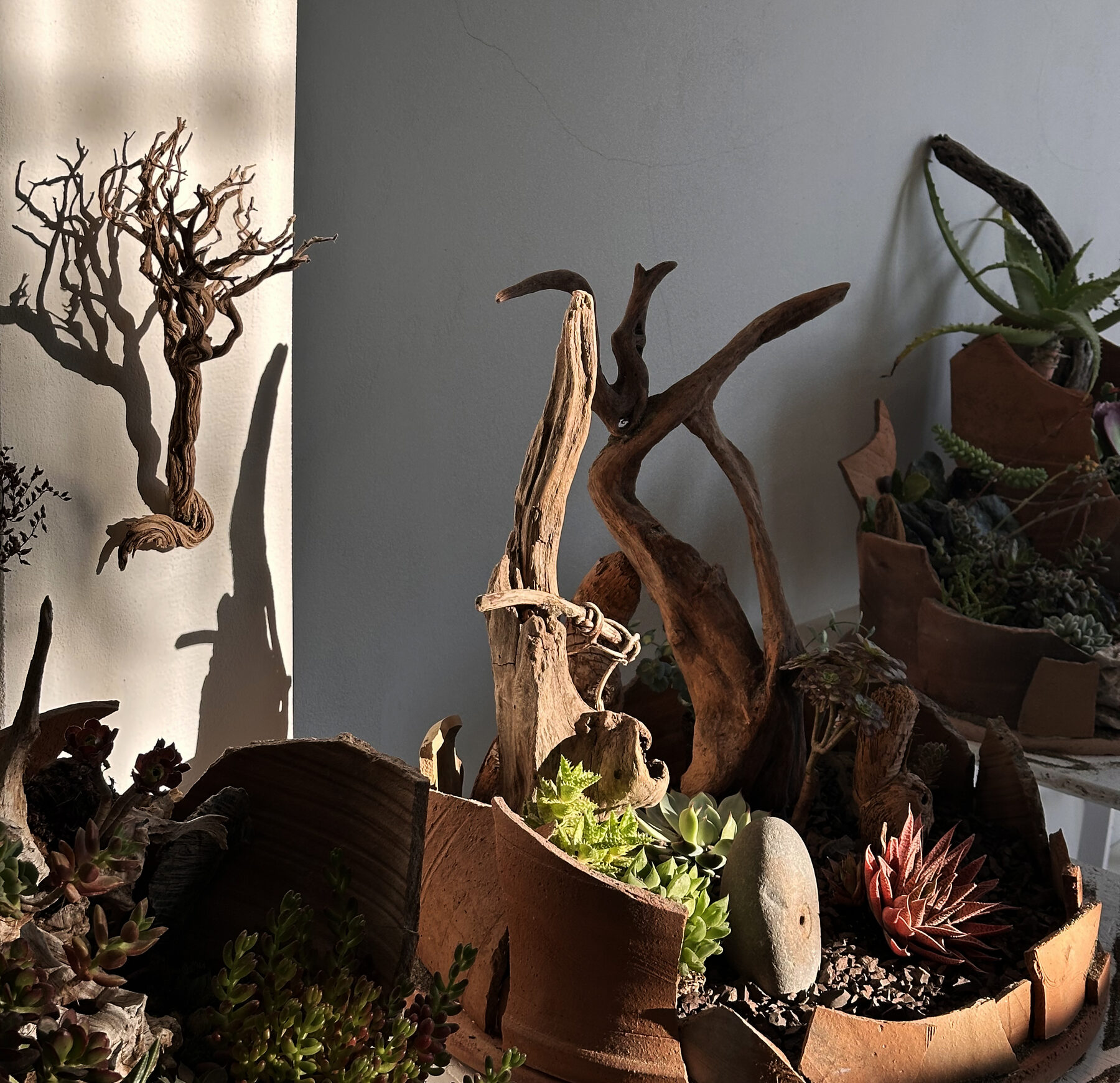 Créations Nature Art Gallery